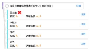 海南聲意圈信息技術(shù)咨詢中心 專業(yè)有限合伙信息技術(shù)咨詢服務(wù)